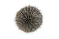 Group of iron filings show magnetic field lines over strong circle magnet. Close up of science magnetic field physics magnetic