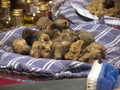 Group of italian expensive white truffles on the traditional canvas