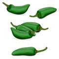 Group of Jalapeno peppers. Cartoon style. Royalty Free Stock Photo