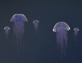 Group of jellyfish swimming calmly in blue water upwards 3D render Royalty Free Stock Photo