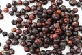 Group of juniper berries on a white plate Royalty Free Stock Photo