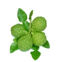 Group of kaffir Lime or Bergamot fruit on white background.