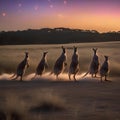 A group of kangaroos bouncing high into the air, forming a spectacular firework shape in the night sky5