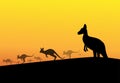 Group of kangaroos in desert, silhouette vector Royalty Free Stock Photo