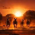 A group of kangaroos hopping across an arid Australian desert, silhouetted against a setting sun by AI generated