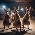 A group of kangaroos in party attire bouncing in excitement as the clock strikes midnight1
