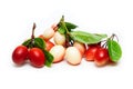 Group of Karonda Fruits on the iSolated White Background