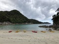 Group of kayaks with low tide in a beach in Abel Tasman National Park, in the South Island of New Zealand