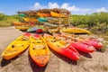 Group of kayaks parked in mangrove forest Royalty Free Stock Photo