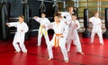 Kids at taekwondo workout, training attack movements