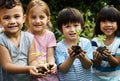 Group of kindergarten kids friends gardening agriculture Royalty Free Stock Photo