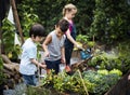 Group of kindergarten kids learning gardening outdoors Royalty Free Stock Photo