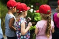 Group of kindergarten kids learning gardening outdoors field trips