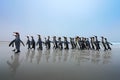 Group of King penguins, Aptenodytes patagonicus, going from white sand to sea, artic animals in the nature habitat, dark blue sky,