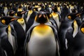 Group of king penguins standing in a row. 3d rendering, A group of king penguins captivates observers in the zoo, showcasing a Royalty Free Stock Photo