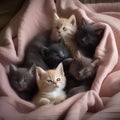 A group of kittens cuddled up together, fast asleep in a pile of blankets4