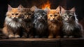 Group of kittens in front of a fireplace. Studio shot. Royalty Free Stock Photo