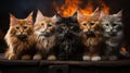 Group of kittens in front of a fireplace. Studio shot. Royalty Free Stock Photo