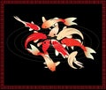 Red Koi carps on black background