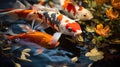 a group of koi fish in a large and clear pond, colorful, very beautiful, real, long-tailed and beautiful fish , Generate AI