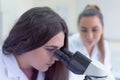 Group of  Laboratory scientists working at lab with test tubes, test or research in clinical laboratory.Science, chemistry, Royalty Free Stock Photo