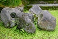 Group of large boulders with holes on grass squares pavement