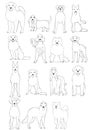 Group of large and middle dogs breeds hand drawn chart