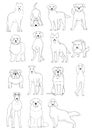 Group of large and middle dogs breeds hand drawn chart