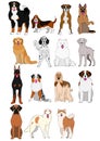 Group of large and middle dogs breeds hand drawn chart