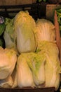 Group of lettuces well ordered and placed in market