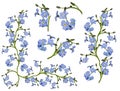 Group of light blue forget-me-not flower elements Royalty Free Stock Photo