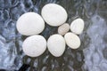 Group of light white massage pebbles on glass background, reflections