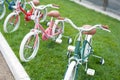 Group of little bicycle on grass