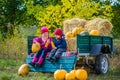 Group of little children enjoying harvest festival celebration at pumpkin patch. Royalty Free Stock Photo