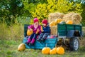 Group of little children enjoying harvest festival celebration at pumpkin patch. Royalty Free Stock Photo