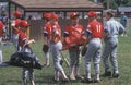 Group of Little League Baseball players