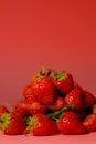 Group of little lovely sweet strawberry with pink background.