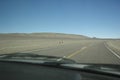 Group of llamas crossing the road