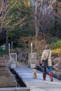 Group of locals walking in the park of Nara. People of Japan.