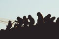 Silhouetted Group of macaque monkeys