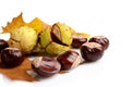 Group of many chestnuts in the corner with autumn leaves Royalty Free Stock Photo