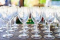 Group of many clean transparent empty wine glasses arranged in a row Royalty Free Stock Photo
