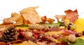 Group many forest fruits on autumn leaves in line