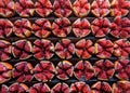 A group of many pomegranate fruit cut in pieces divided equally in sections forming background