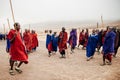 Group Masai or Maasai tribe peoples in red and blue cloth dancing. Ethnic group of Ngorongoro Consevation, Serengeti in Tanzania