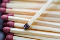 Group of matchstick close up macro shot, Royalty Free Stock Photo