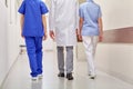 Group of medics or doctors walking along hospital Royalty Free Stock Photo