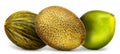 Group of melons and pomelo isolated on white background Royalty Free Stock Photo