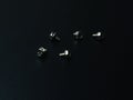 Group of metal screws on dark background. Royalty Free Stock Photo