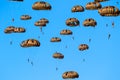 Group of military parachutist paratroopers in the sky during the Operation Market Garden memorial